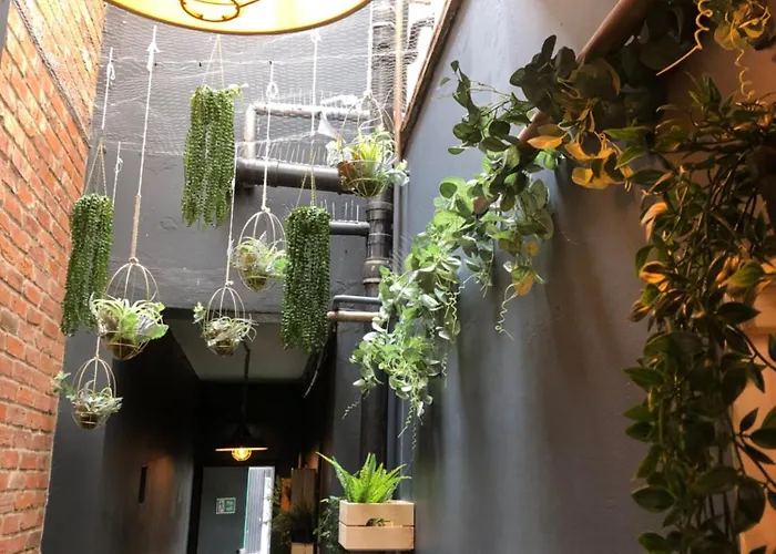 Cuckoo Rooms
